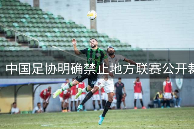 中国足协明确禁止地方联赛公开裁判处罚决定