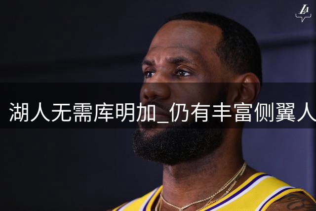 湖人无需库明加 仍有丰富侧翼人选